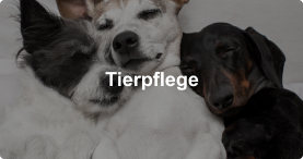 Tierpflege